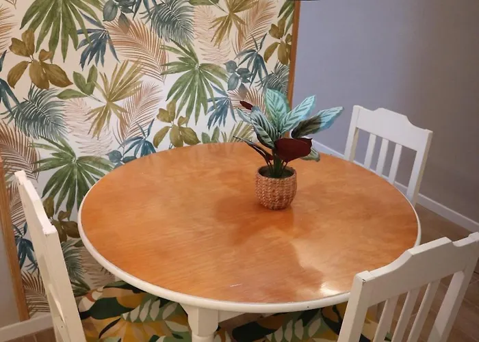 公寓 Oasis Del Puerto Spacious Premium 拉克鲁斯