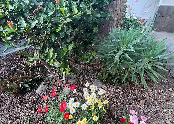 Oasis Del Puerto Spacious Premium Apartment *